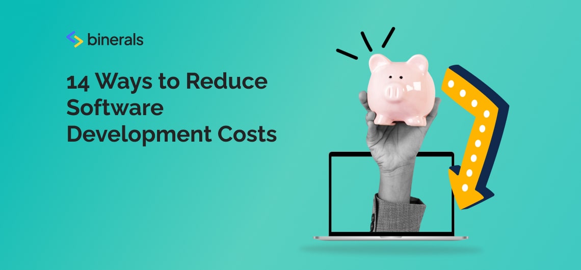 14 Ways to Reduce Software Development Costs | Binerals.com